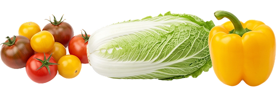 신선한 채소