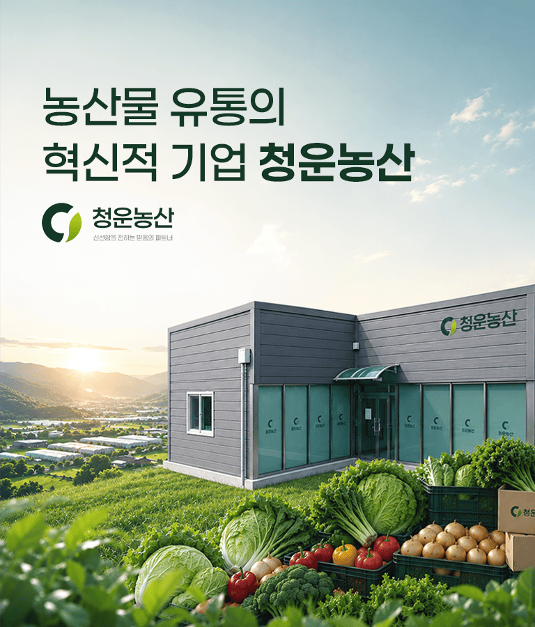 배너2